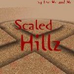 Scaled Hillz